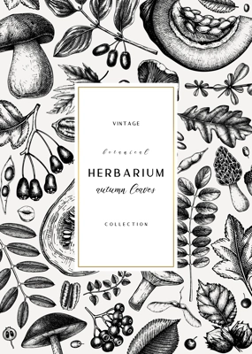 Hand sketched autumn card or invitation design. Elegant botanical template with autumn leaves, berries, seeds, nuts, mushroom sketches. Perfect for flyers, menu, label, packaging.